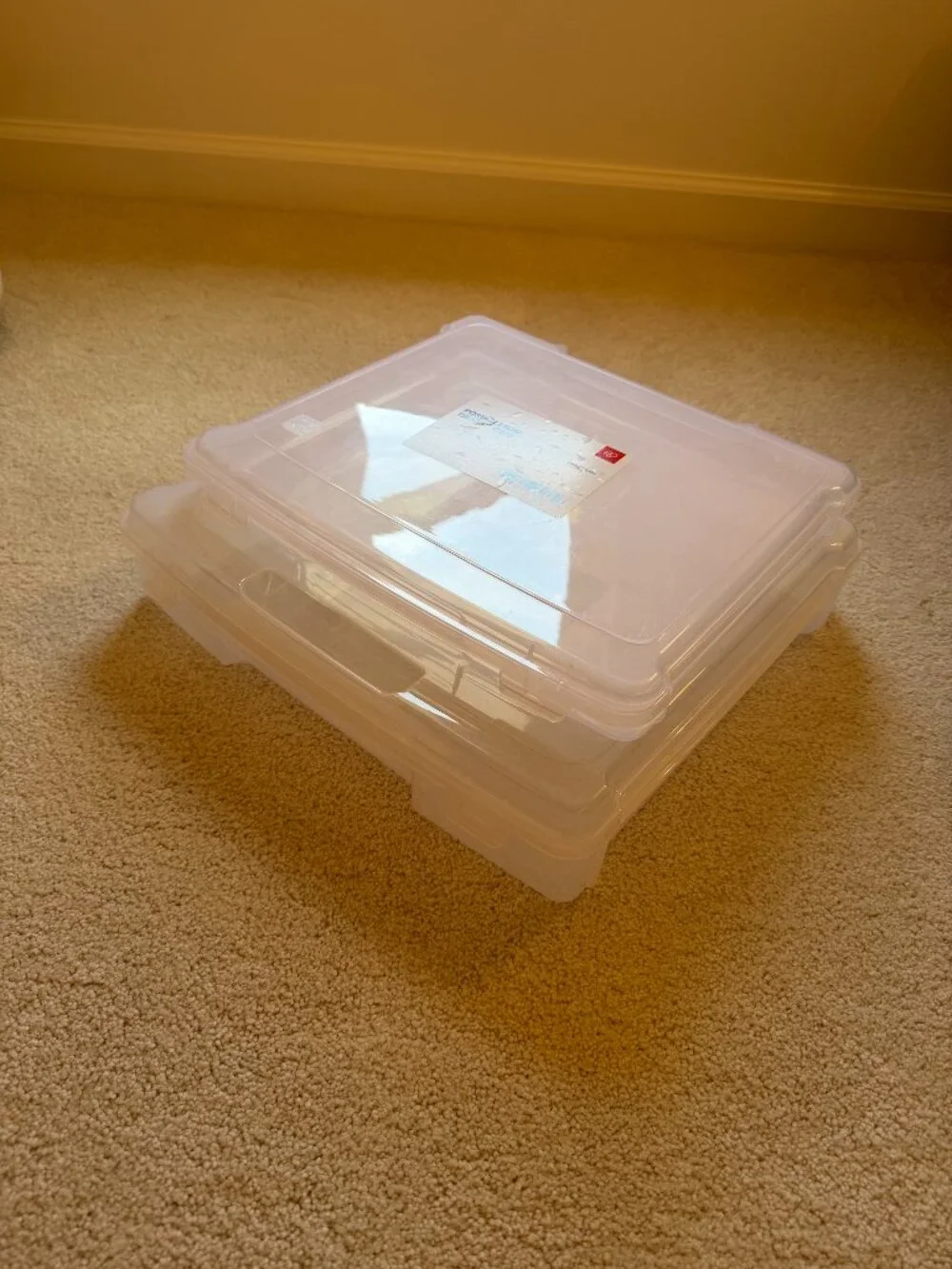 Set of 2 Container Store Iris Clear Document Cases